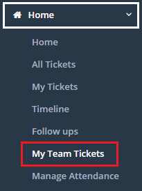 my-team-ticket.png