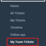 my-team-ticket.png